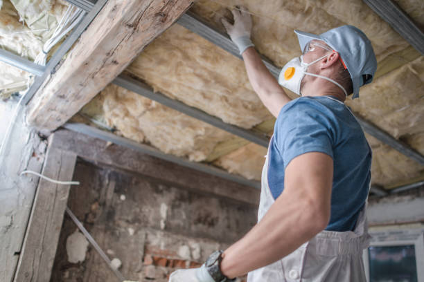 Best Wall Insulation Contractor  in Pinehurst, TX