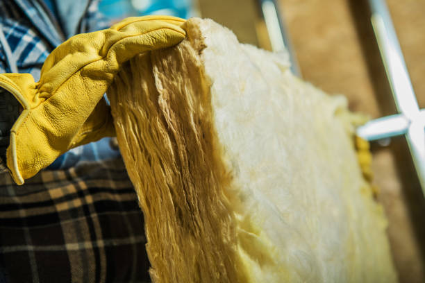 Best Spray Foam Insulation  in Pinehurst, TX