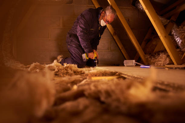 Best Local Insulation Services  in Pinehurst, TX